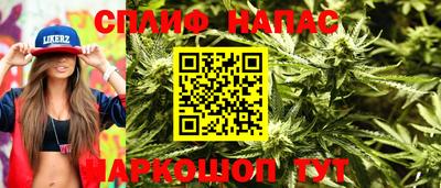 хмурый Новозыбков