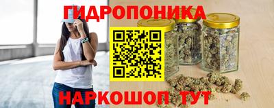 хмурый Новозыбков