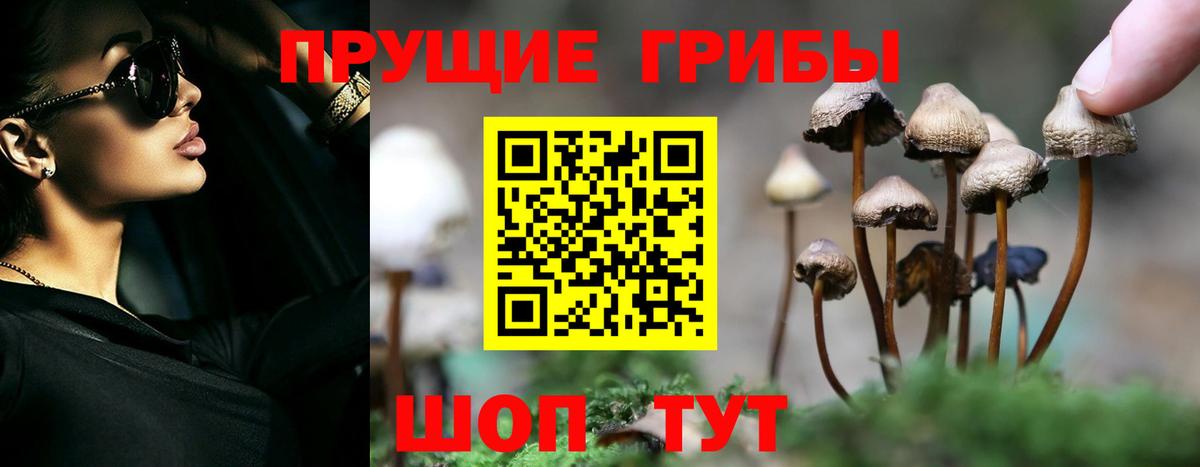 Псилоцибиновые грибы прущие грибы  Вход с VPN  Соль-Илецк 